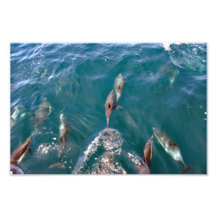 Foto Dana Point