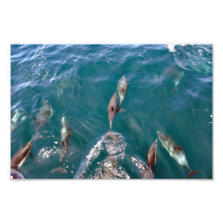Foto Dana Point