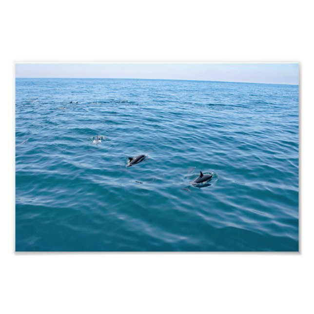 Foto Dana Point (Frente)