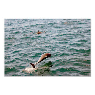 Foto Dana Point