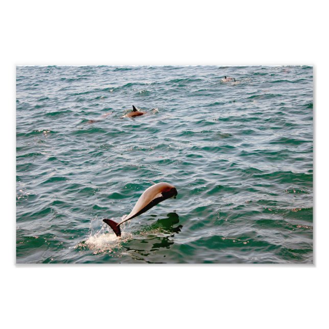 Foto Dana Point (Frente)