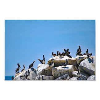 Foto Dana Point