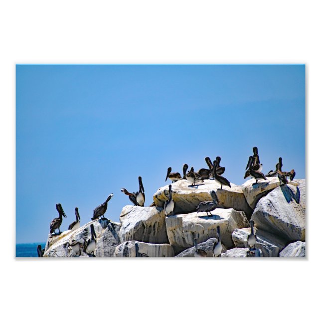 Foto Dana Point (Frente)