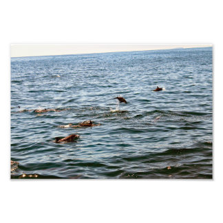 Foto Dana Point
