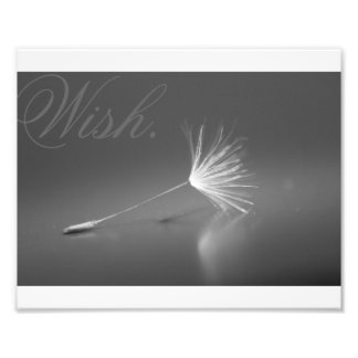Foto Dandelion Wish Photo