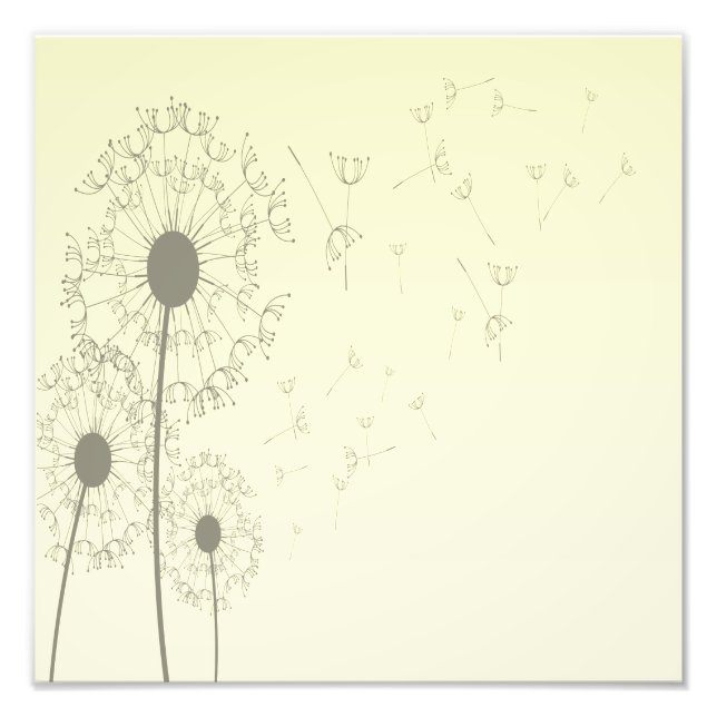 Foto Dandelions (Frente)