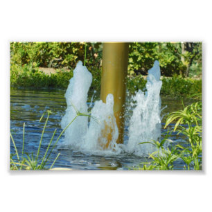 Foto Danza del agua