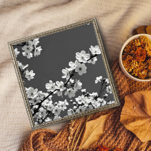 Foto Danza delicada: Flores de cerezo en blanco y negro