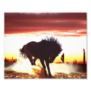 Foto Danzas con caballos