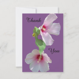 Foto de 2 flores de hibisco rosa en tarjeta de agr