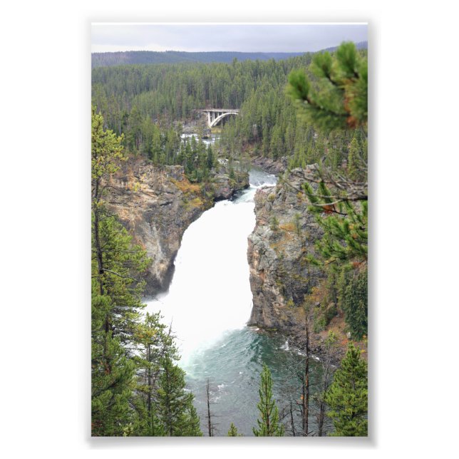 Foto de 4 x 6 Yellowstone (Frente)