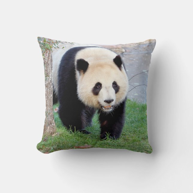 Foto de almohada gigante panda 5. lanzar almohada (Anverso)