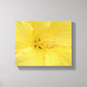Foto de arte fino de Hibisco Amarillo Hawaiano