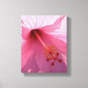 Foto de arte fino de Hibisco Rosa Hawaiano