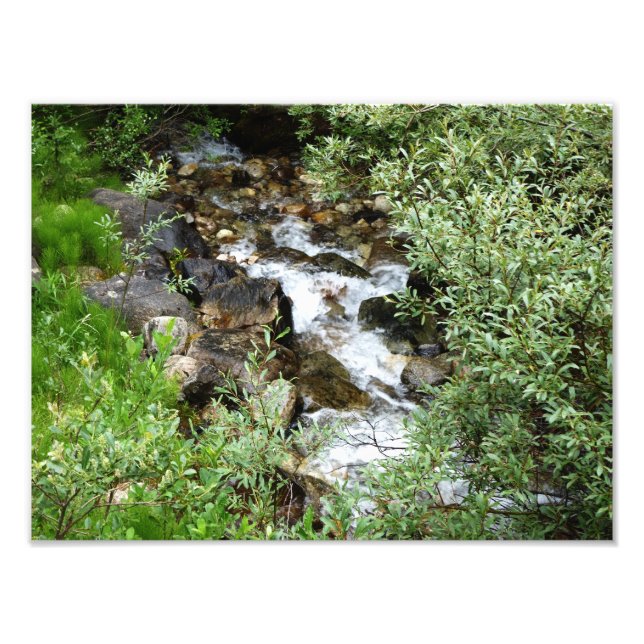 Foto de Babbling brook (Frente)