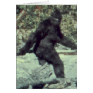 FOTO DE BIGFOOT SASQUATCH ORIGINAL DE 1967