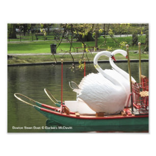 Foto de Bote de Cisne de Boston