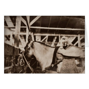 Foto de caballo con aspecto anticuado