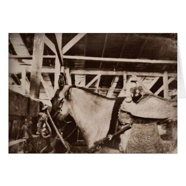 Foto de caballo con aspecto anticuado (Anverso (Horizontal))