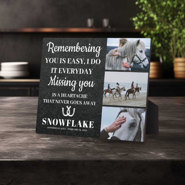 Foto de Caballo y Placa conmemorativa con cita de  (Subido por el creador)