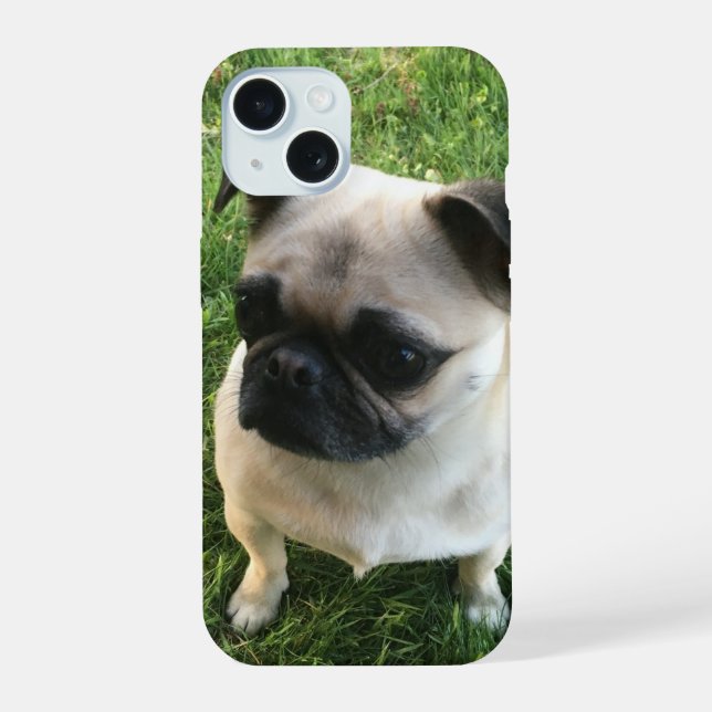 Foto de cachorro de Pug (Reverso )