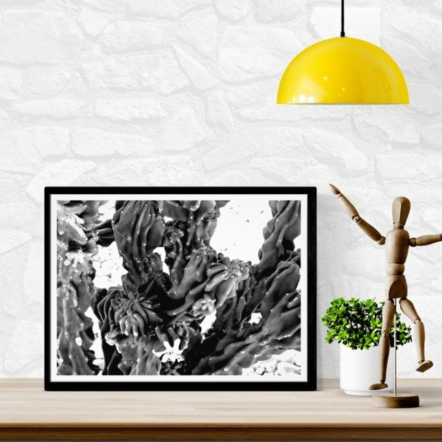 Foto de cactus de alto contraste // negro y blanco (Subido por el creador)