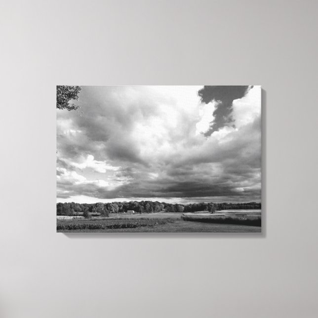 Foto de campo blanco y negro en lienzo (Anverso)