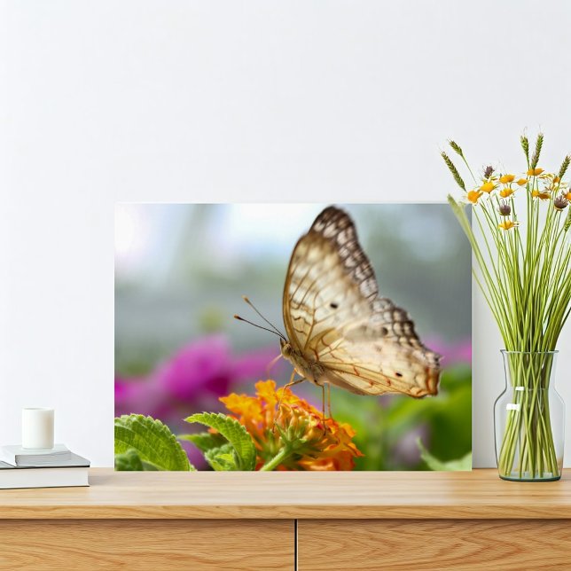 Foto de cierre de mariposas y flores (Tropical butterfly nature print with orange and purple pink flowers. Simple and vibrant.)