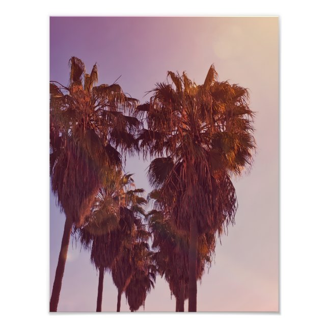 Foto de corazón de palmera (Frente)