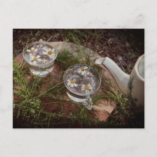 Foto de cosecha de vintage | Postal natural del té