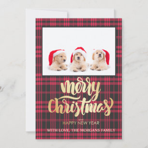 Foto de Cuadros Búfalo Negro Rojo Navidad Alegre D
