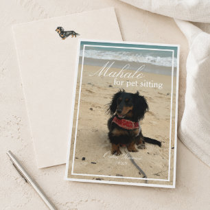 Foto de Dachshund Agradecimiento por cuidar a mi m