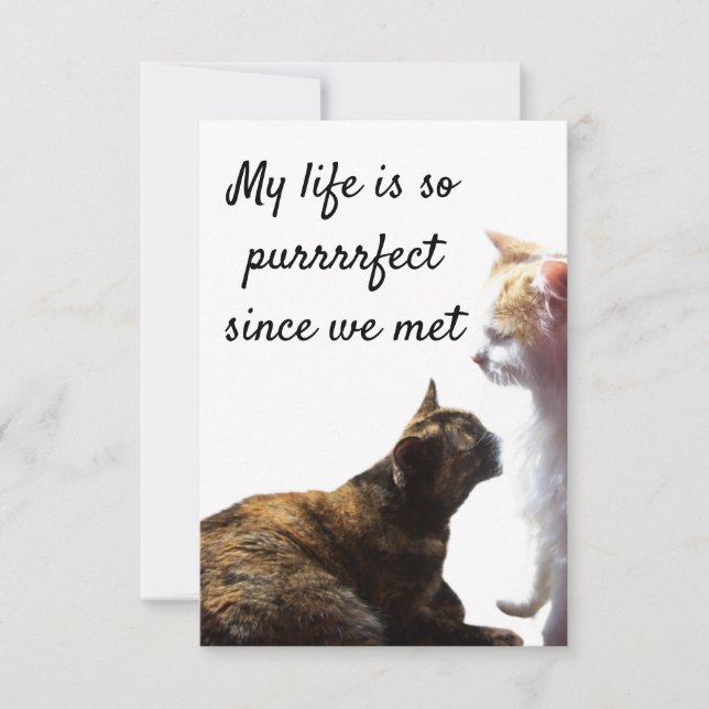 Foto de dos gatos con vida de San Valentín (Anverso)