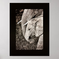 Foto de elefante tamaño de la CARTERA de arte afri