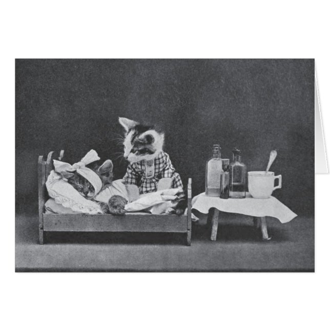 Foto de época - Culpa siempre al perro, (Anverso (Horizontal))