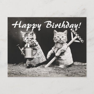 Foto de época Dos Gatos Ajardinados Postales