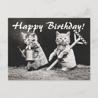 Foto de época Dos Gatos Ajardinados Postales