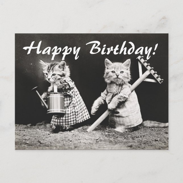 Foto de época Dos Gatos Ajardinados Postales (Anverso)