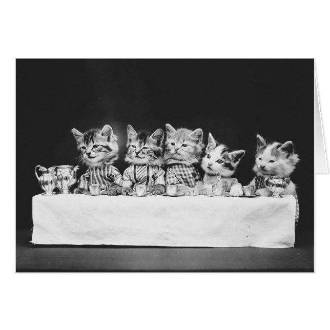 Foto de época - Gatitos Tomando Té, (Anverso (Horizontal))