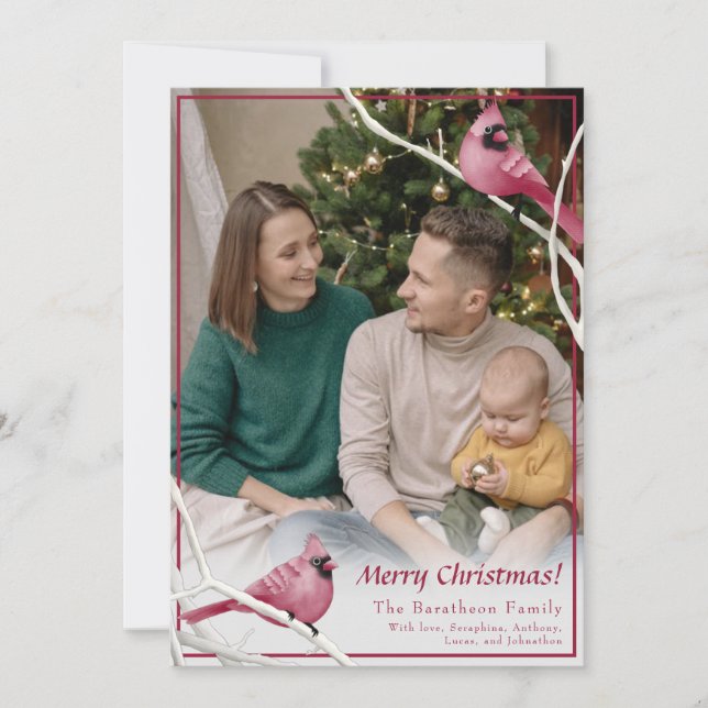 Foto de familia de pájaros del cardenal de Navidad (Anverso)