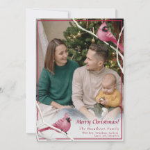 Foto de familia de pájaros del cardenal de Navidad