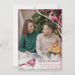 Foto de familia de pájaros del cardenal de Navidad