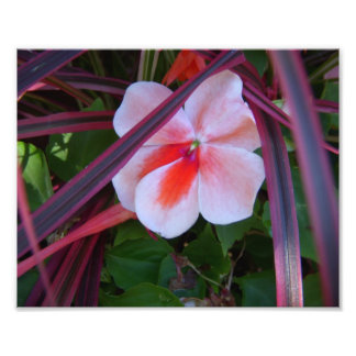 Foto de flor