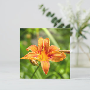 Foto de flor de lirio grande linda