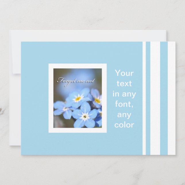Foto de Forget-Me-Not en azul (Anverso)