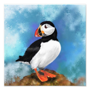 Foto de foto de pájaro de Puffin atlántico - Pintu