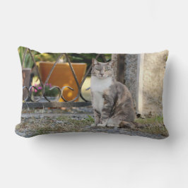 Foto de gato, animales. arrojar almohada