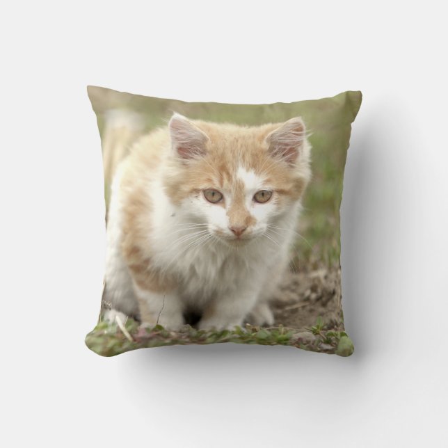 Foto de gato, animales. arrojar almohada (Anverso)