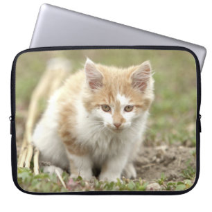 Foto de gato , animales fundas de laptops.