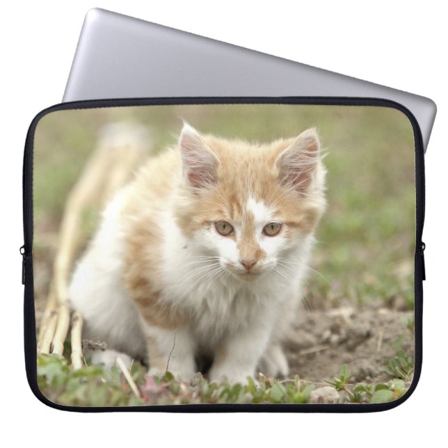 Foto de gato , animales fundas de laptops. (Frente)